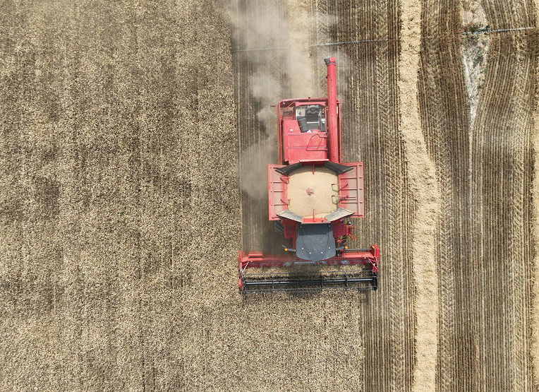 Boshiran 7850 Grain Harvester Shines at Balikun Demonstration Boshiran 7850 Grain Harvester Shines at Balikun Demonstration